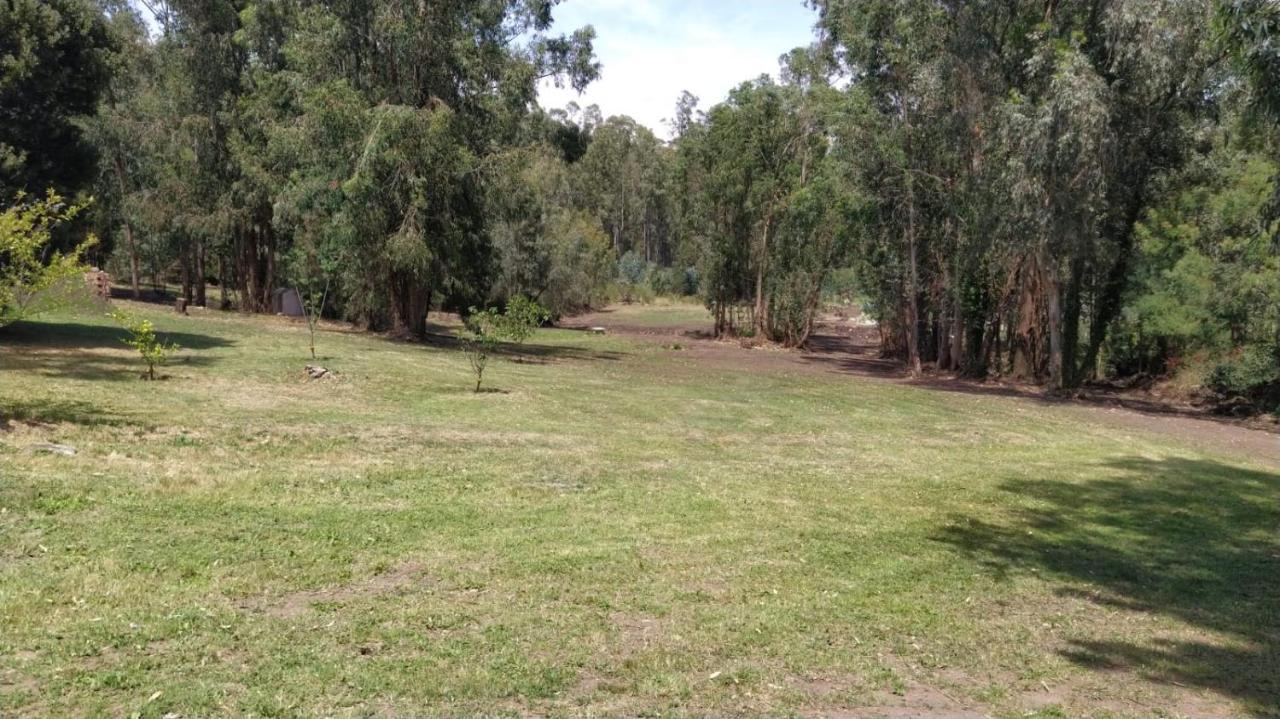 El Bosque De Las Animas Villa Tandil Exteriör bild